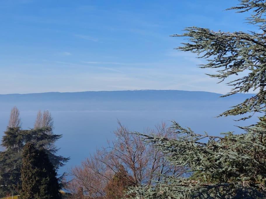 Le Mirabeau Vue Lac Évian-les-Bains Esterno foto