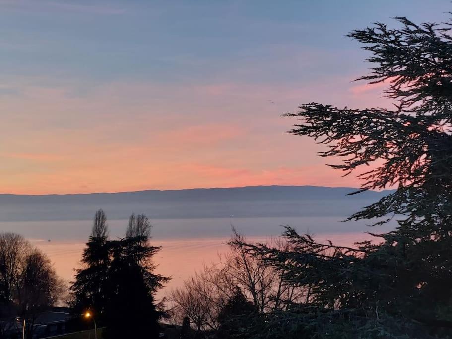 Le Mirabeau Vue Lac Évian-les-Bains Esterno foto